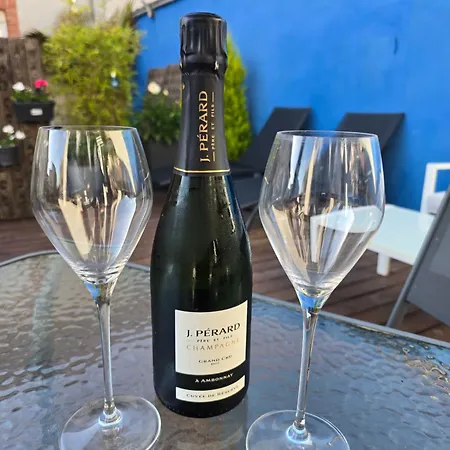 Sarments Et Bulles * Ambonnay